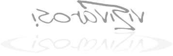 Vizivárosi